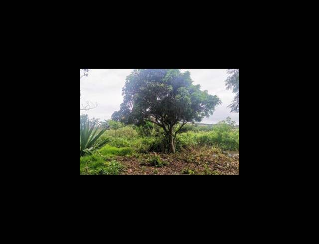 BUSINESS FOR SALE IN CRAIGIEBURN